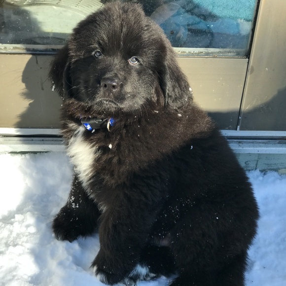 Meet your Posher, SjC - Picture 16 of 16